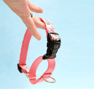 martingale dog collar feminine florals emma