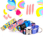 'Savannah' Leopard Laminated Cotton - Personalized Martingale Dog Collar