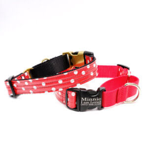minnie mouse martingale dog collar