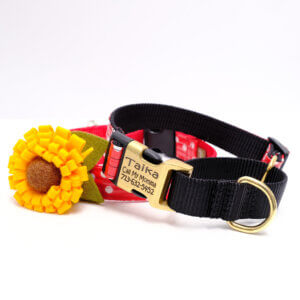 minnie polka dot martingale dog collar engraved