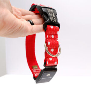 polka dot red white fi dog collar custom