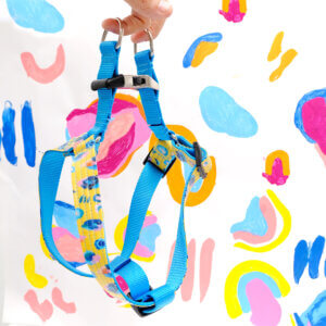 step in leopard yellow harness savannah