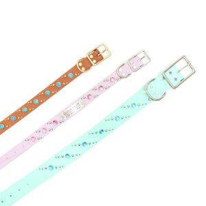 studded waterproof collar quasar pattern