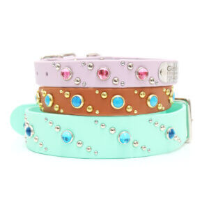 studded waterproof collar quasar pattern