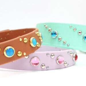 studded waterproof collar quasar pattern