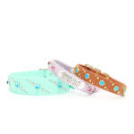 Custom Studded Waterproof Collar – Quasar Pattern