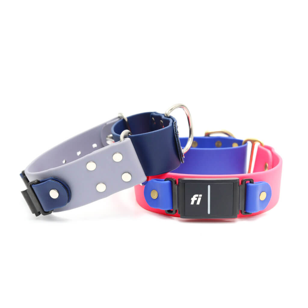 1.5" Wide Fi Compatible Waterproof Biothane Martingale