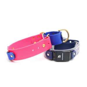 wide two tone waterproof fi compatible martingales