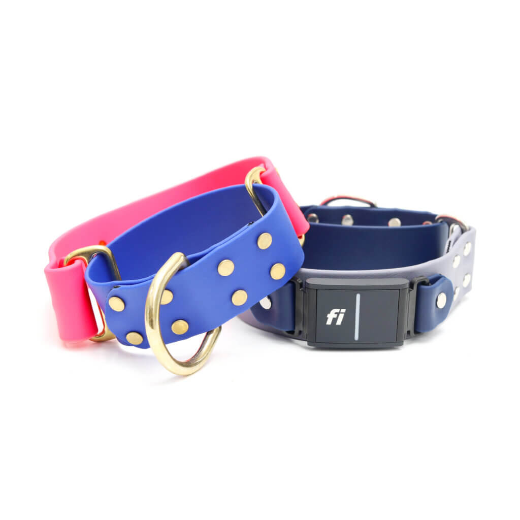 wide two tone waterproof fi compatible martingales