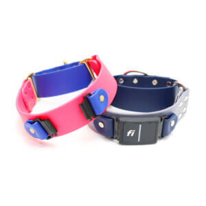 wide two tone waterproof fi compatible martingales