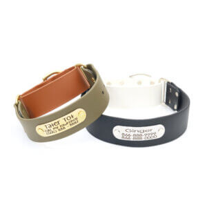wide waterproof nameplate martingale collars