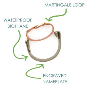 wide waterproof nameplate martingale collars (chart)