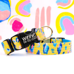 yellow leopard dog collar custom savannah