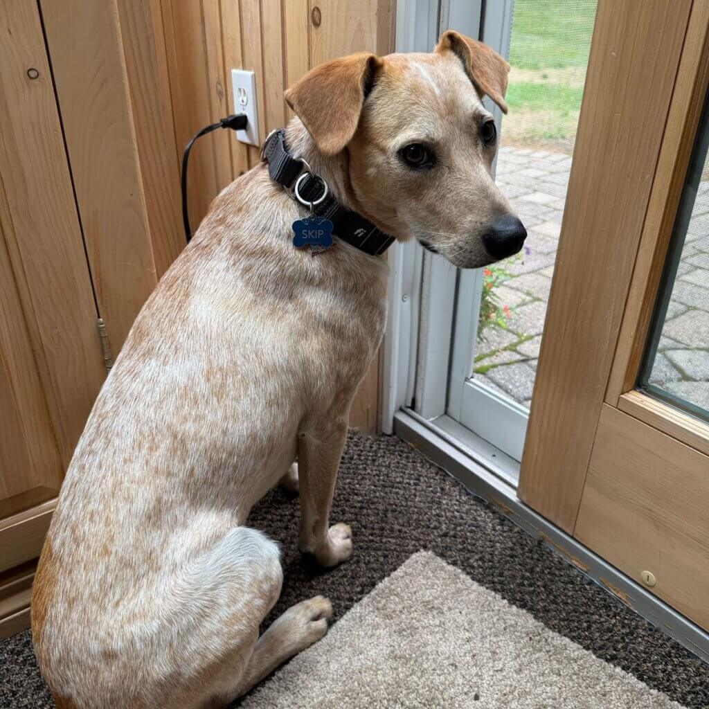 Image #1 from Mary Macdougall