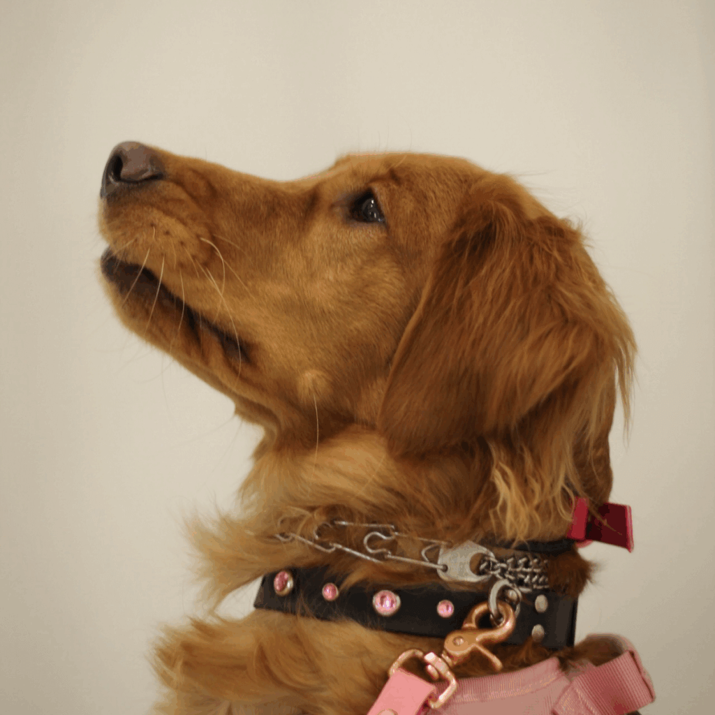 Image #1 from Kaylie B.