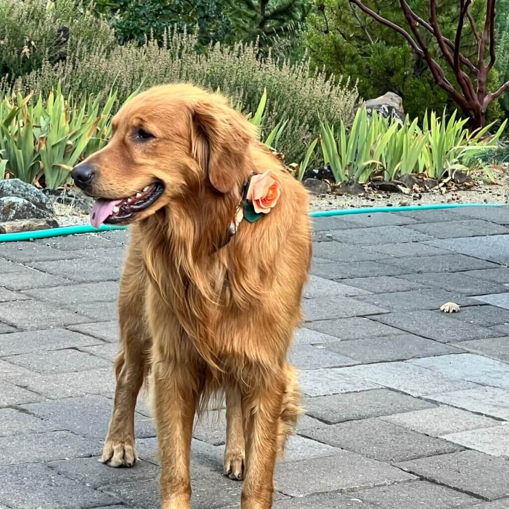 Image #2 from Susan Miller