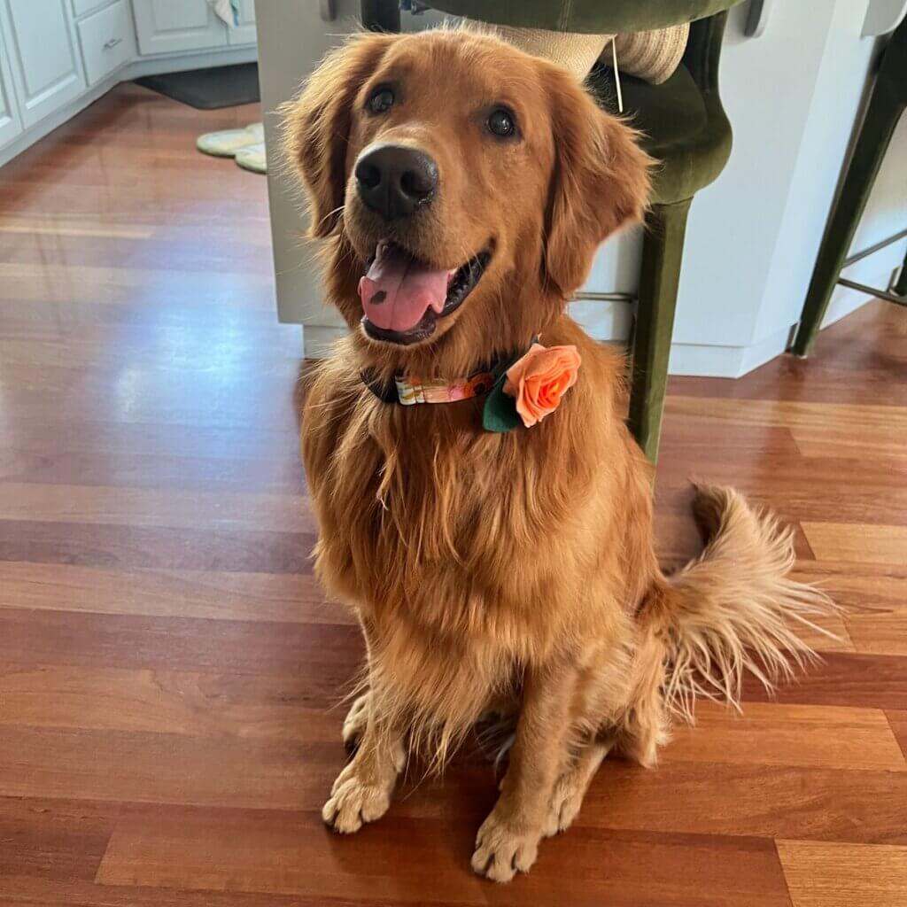 Image #1 from Susan Miller