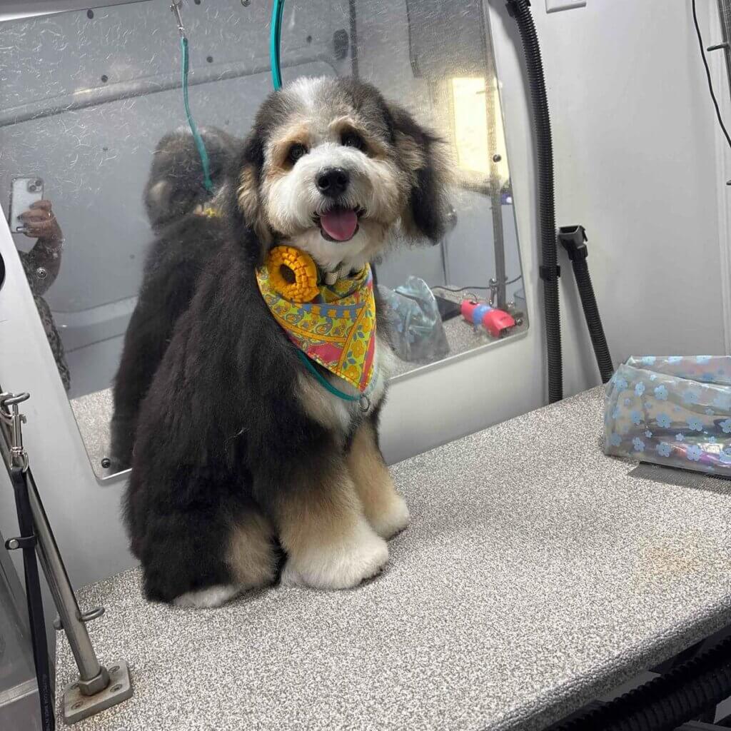 Image #1 from Rachelle H.