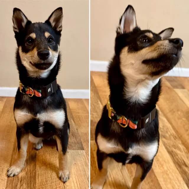 Image #1 from Katie Stensland