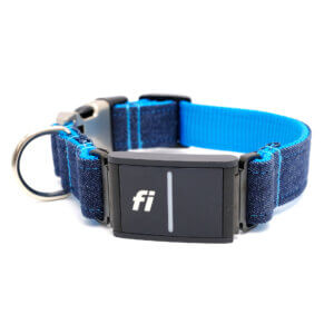 Fi dog collar denim blue