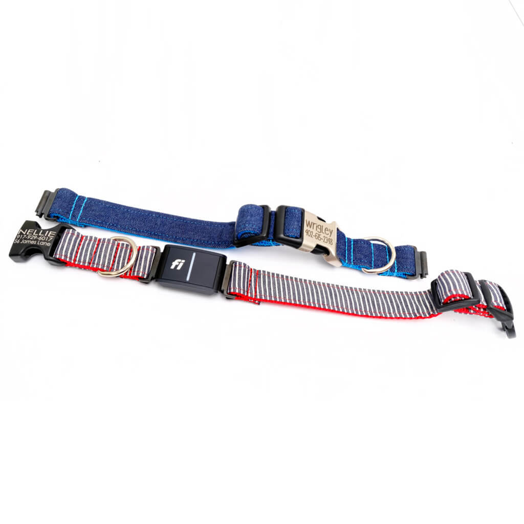 Fi dog denim collar engraved