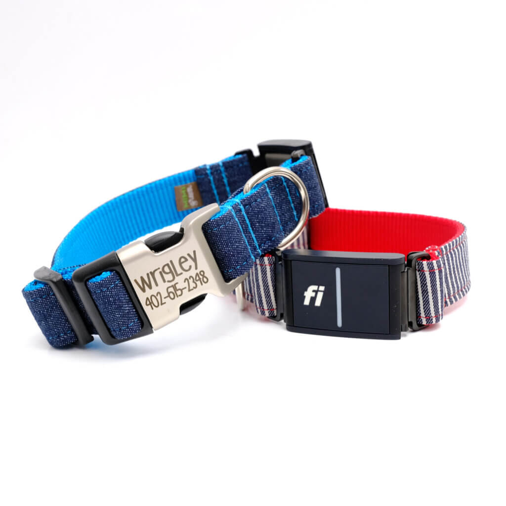 Fi dog denim dog collar custom engraved