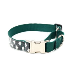 north gingham martingale dog collar laminated cotton