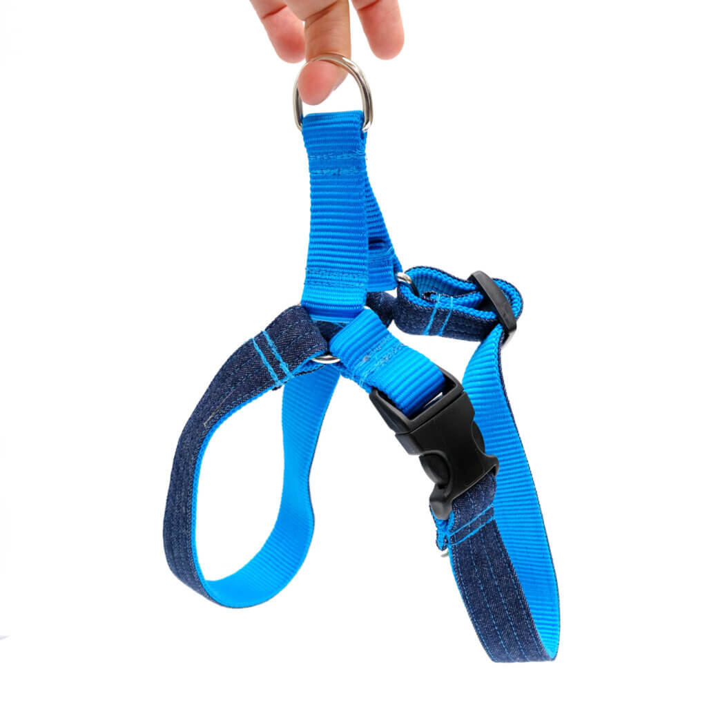 denim dog easy on harness with personalized buckle