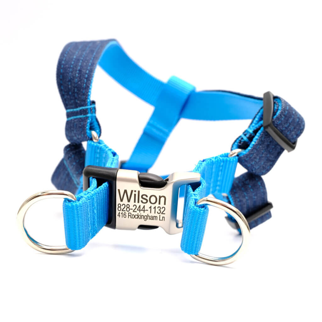 denim dog harness with personalized buckle