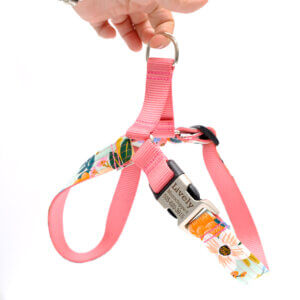 easy on mint dog harness engraved
