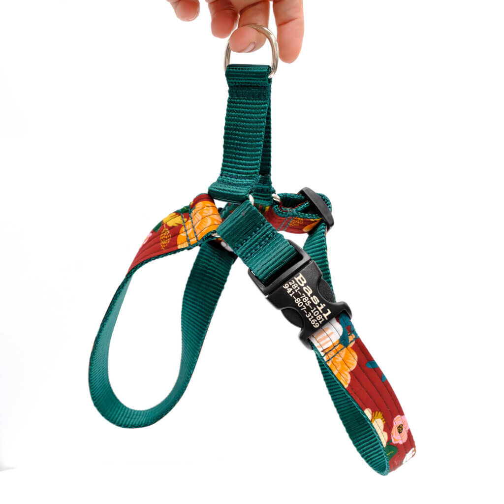 easy on wine dog harness engraved