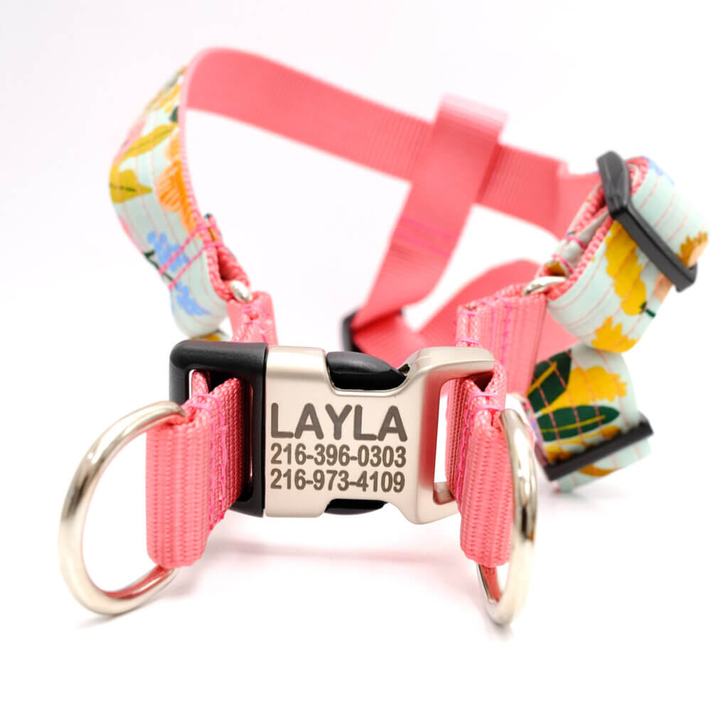 engraved buckle dog harness mint lively