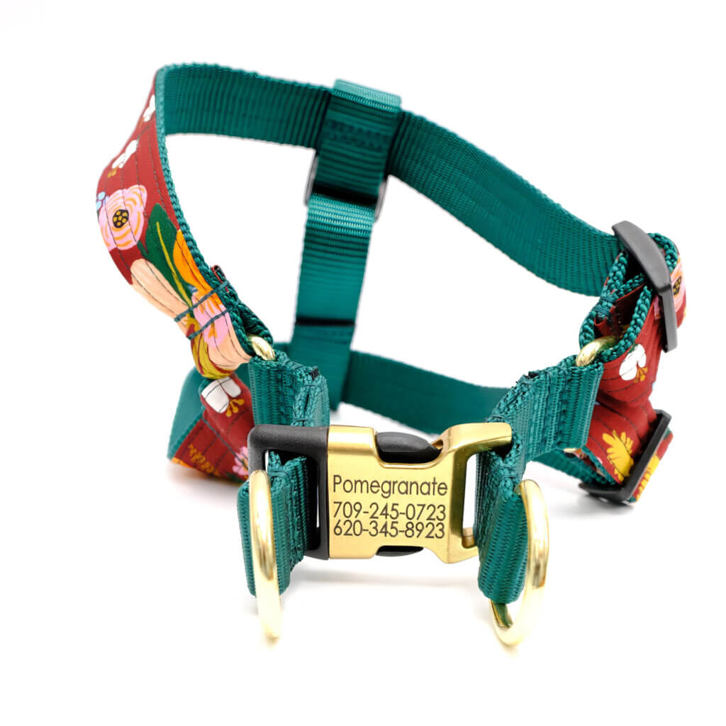 engraved buckle dog harness wine lively