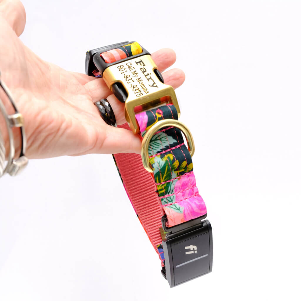 fi dog collar rifle paper floral juliet