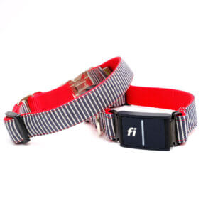 fi dog collar stripes red blue