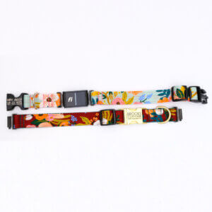 fi dog collars lively floral rifle paper co