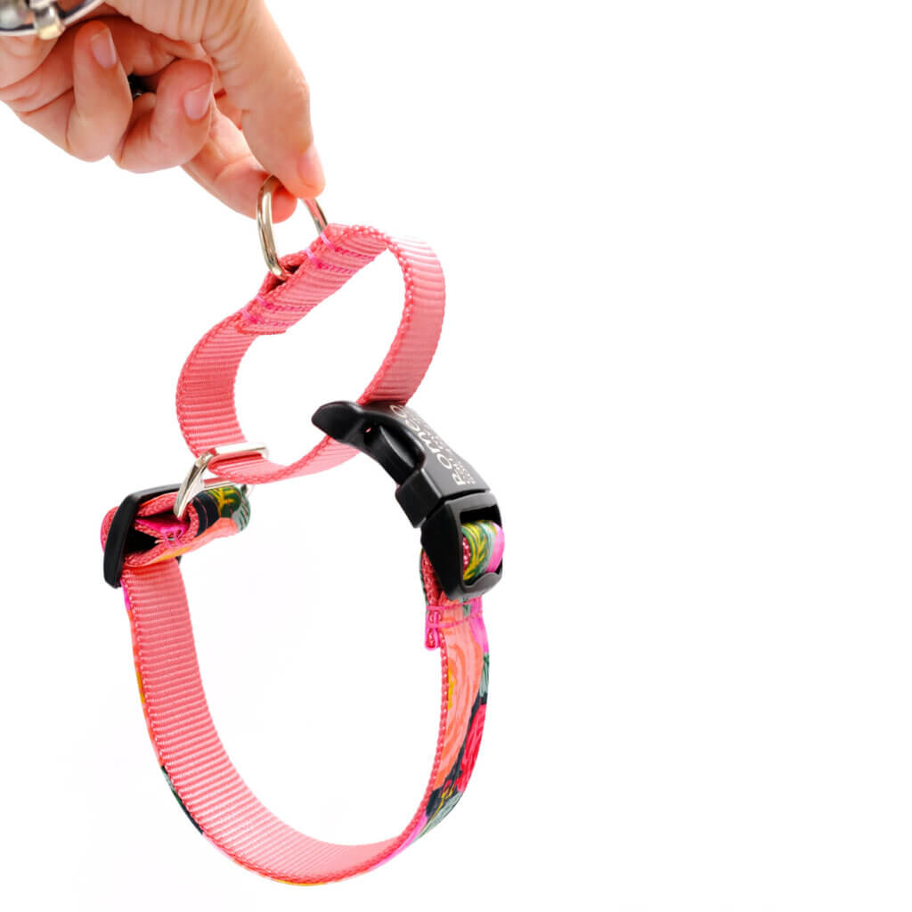 floral rifle paper martingale dog collar how it works