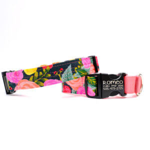 juliet floral martingale dog collar engraved buckle