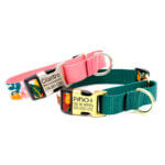 Lively Floral Voile Dog Collar - Personalized Martingale