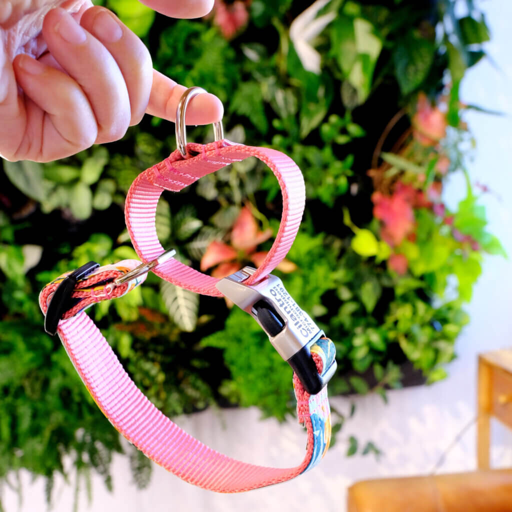 lively mint floral martingale dog collar loop