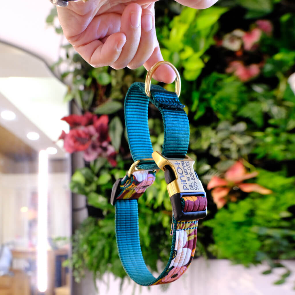 lively wine floral martingale dog collar loop