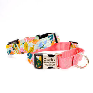 pink floral martingale collar personalized lively