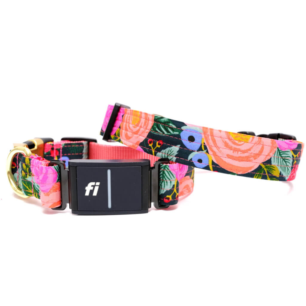fi dog collar rifle paper floral juliet
