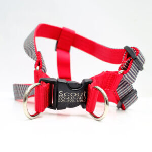 train conductor denim step in dog harness personalized