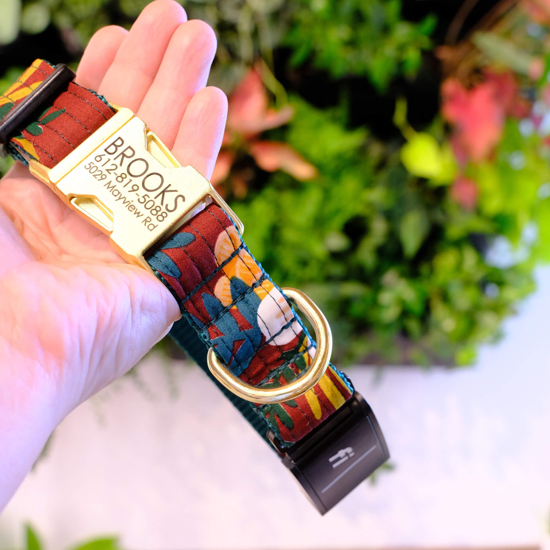 wine floral fi collar livley