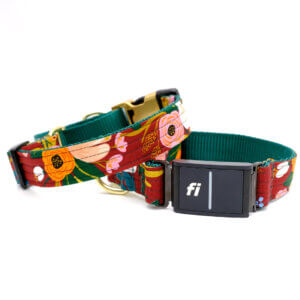 wine lively fi dog collar flowers rifle co