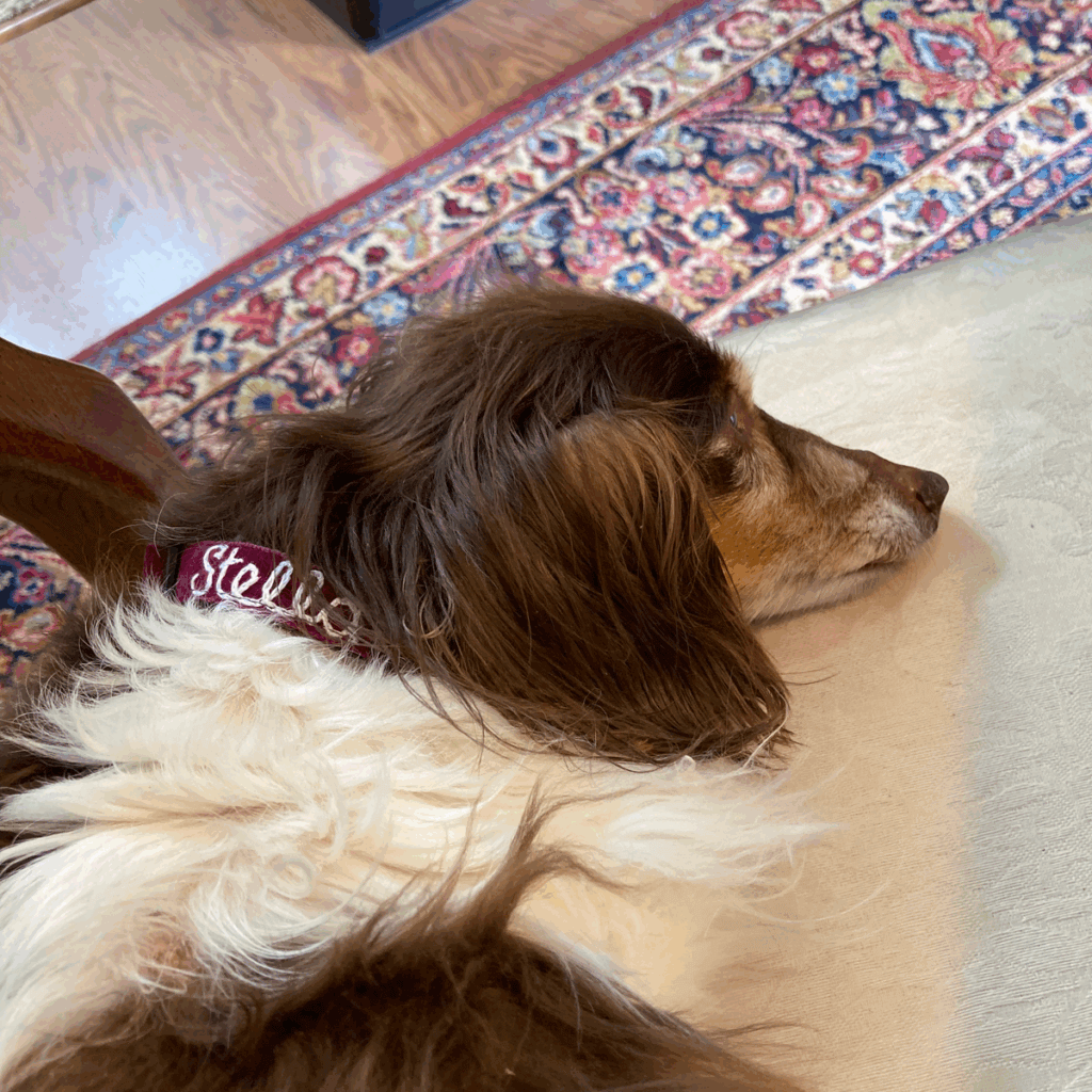 Image #1 from Cara C.