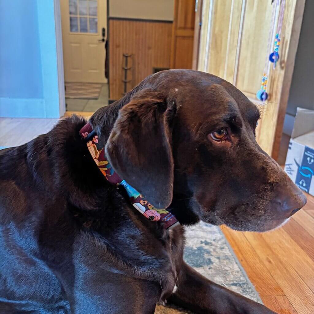 Image #1 from dana p.