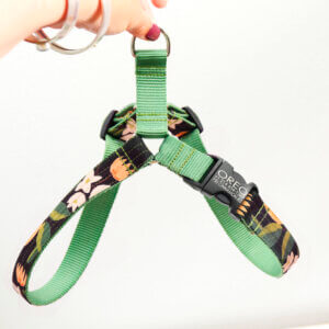 canvas dog harness engraved olea rifle paper