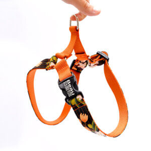 dog harness olea canvas oranges